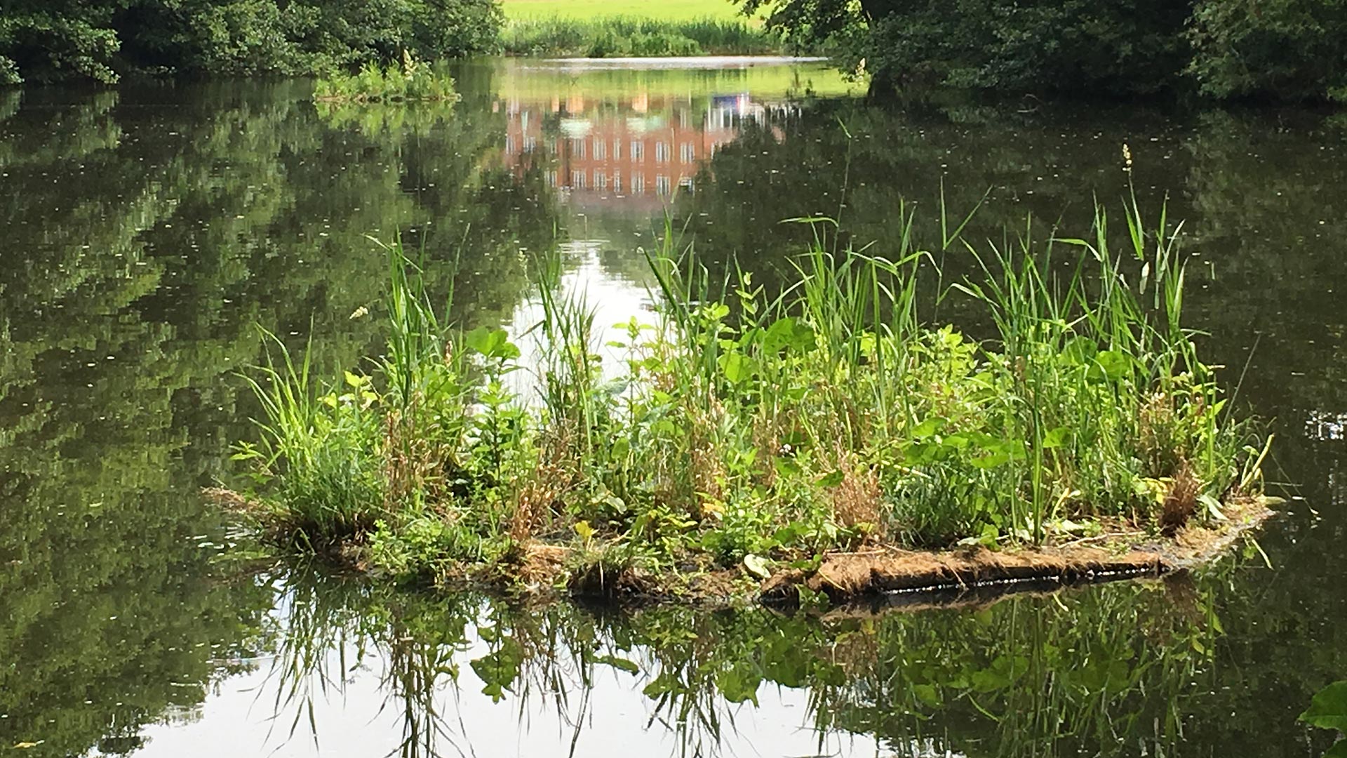 Floating Duck Islands