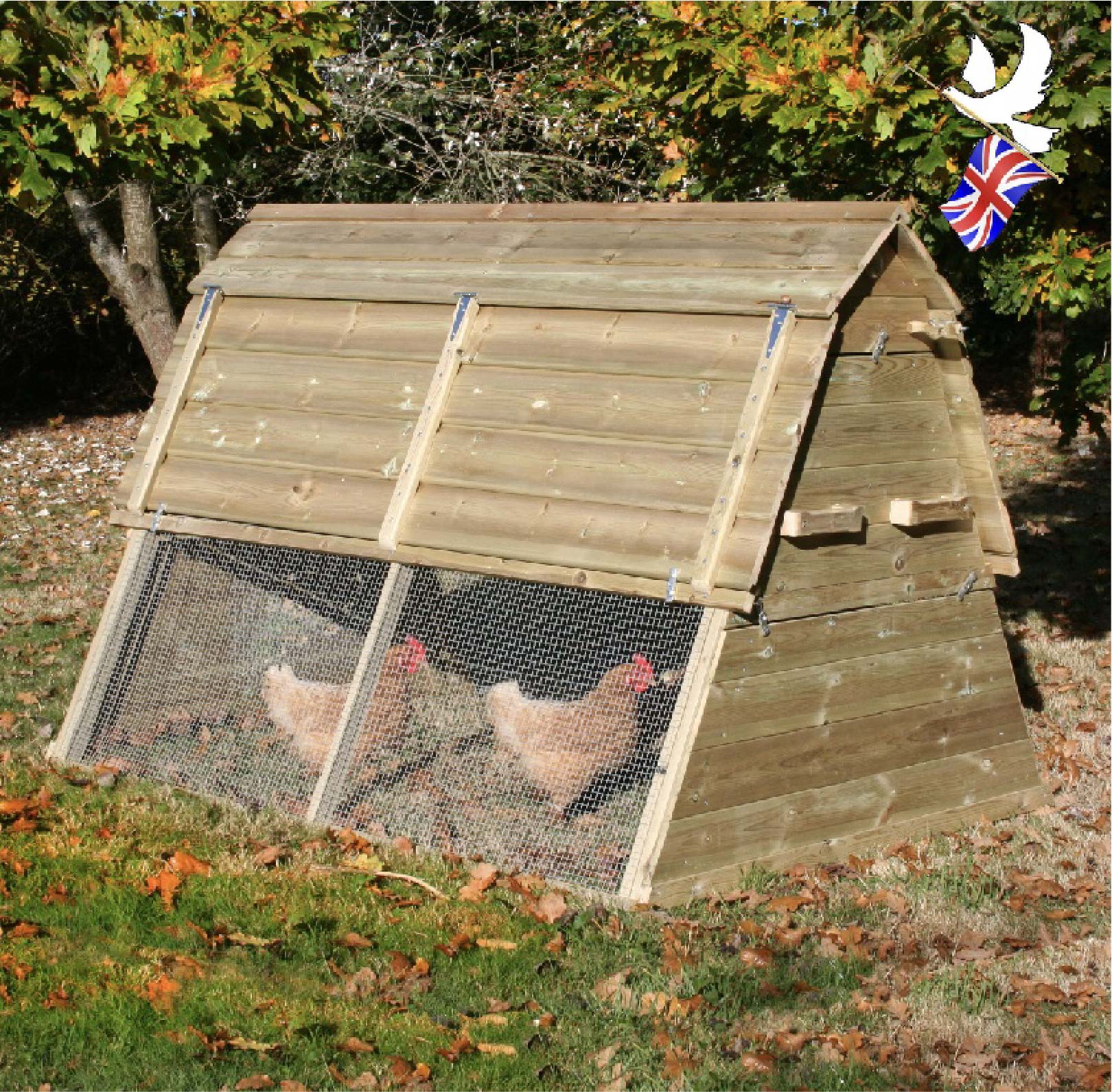 Brighton 6X4 Chicken Ark