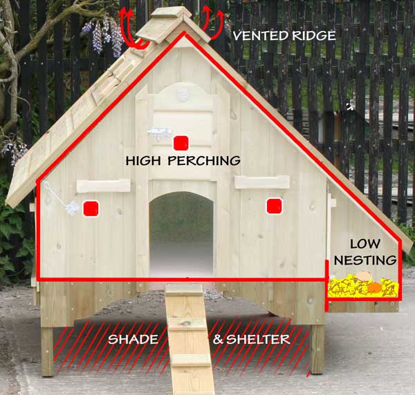 Haydock 700 Chicken Coop