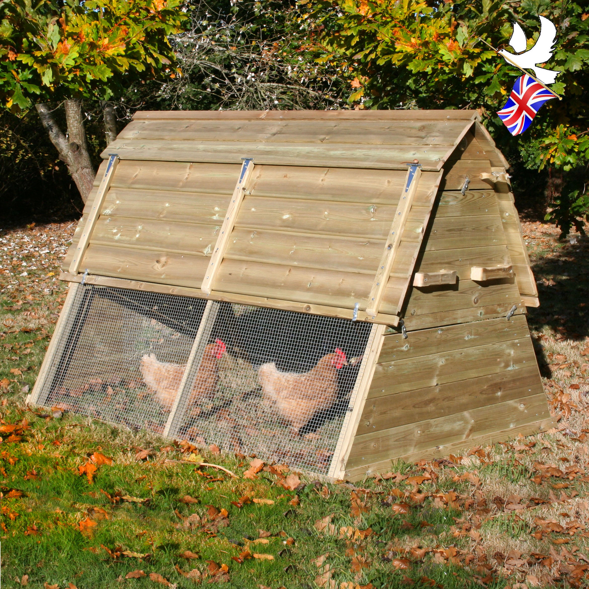 Chicken Coops and Chicken Runs. UK made, since 1979.