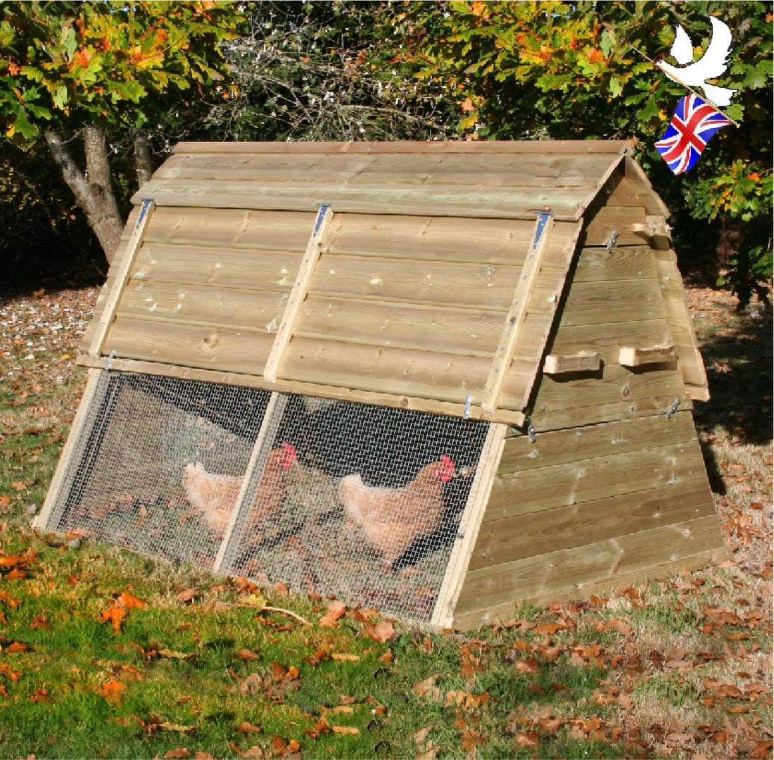 Brighton 6X4 Chicken Ark