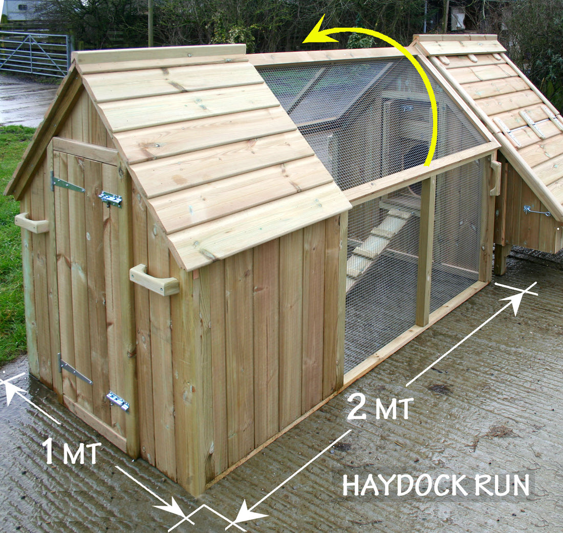 ADD ON - Haydock Run