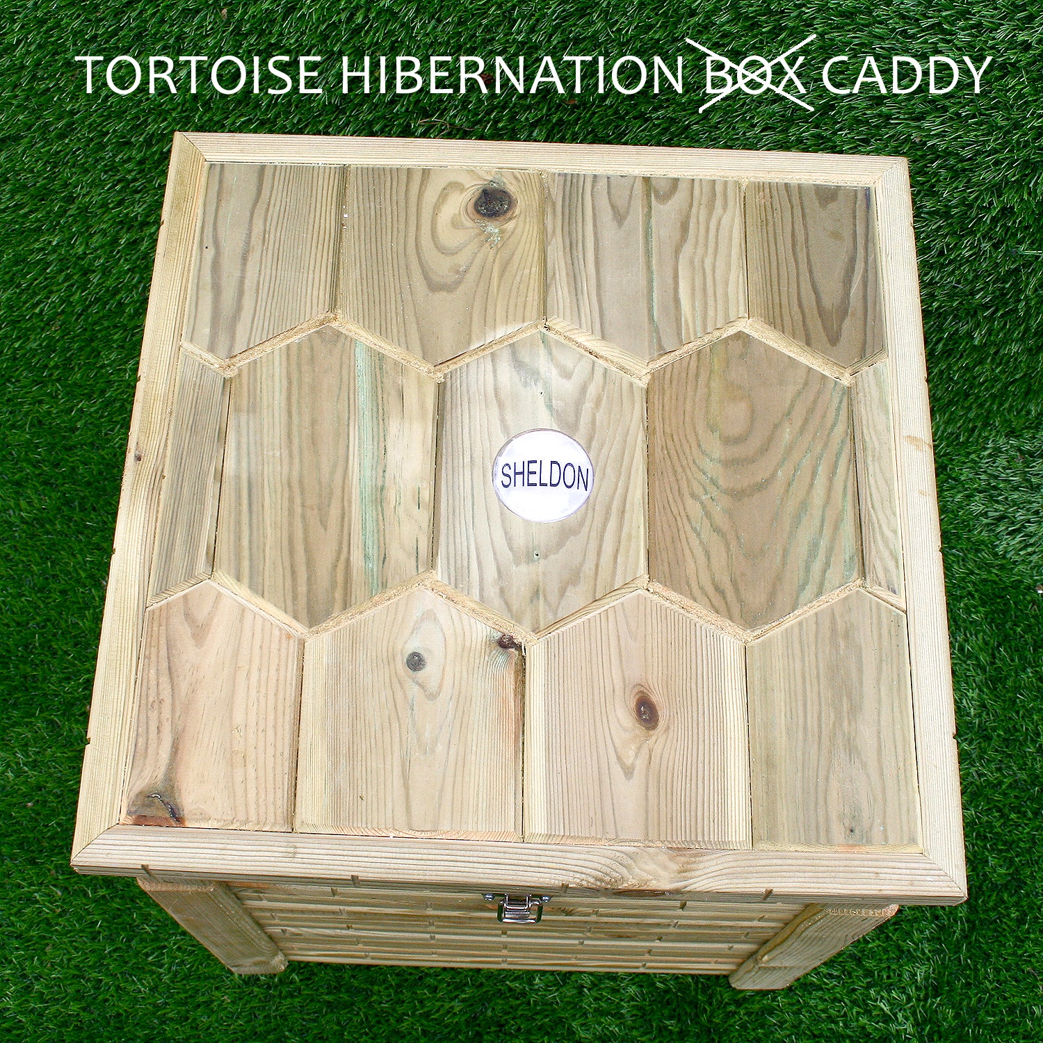 Tortoise Hibernation Caddy