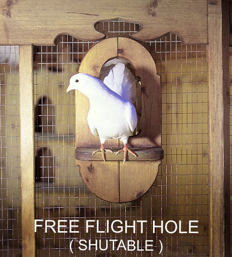 Free Flight Hole