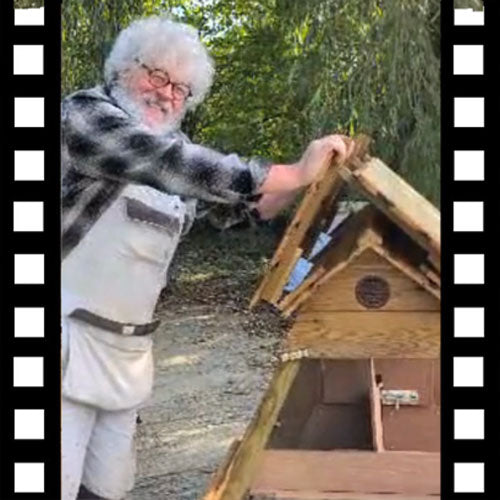 brighton chick ark demo video
